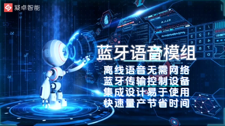 /bluetooth-voice-module.png